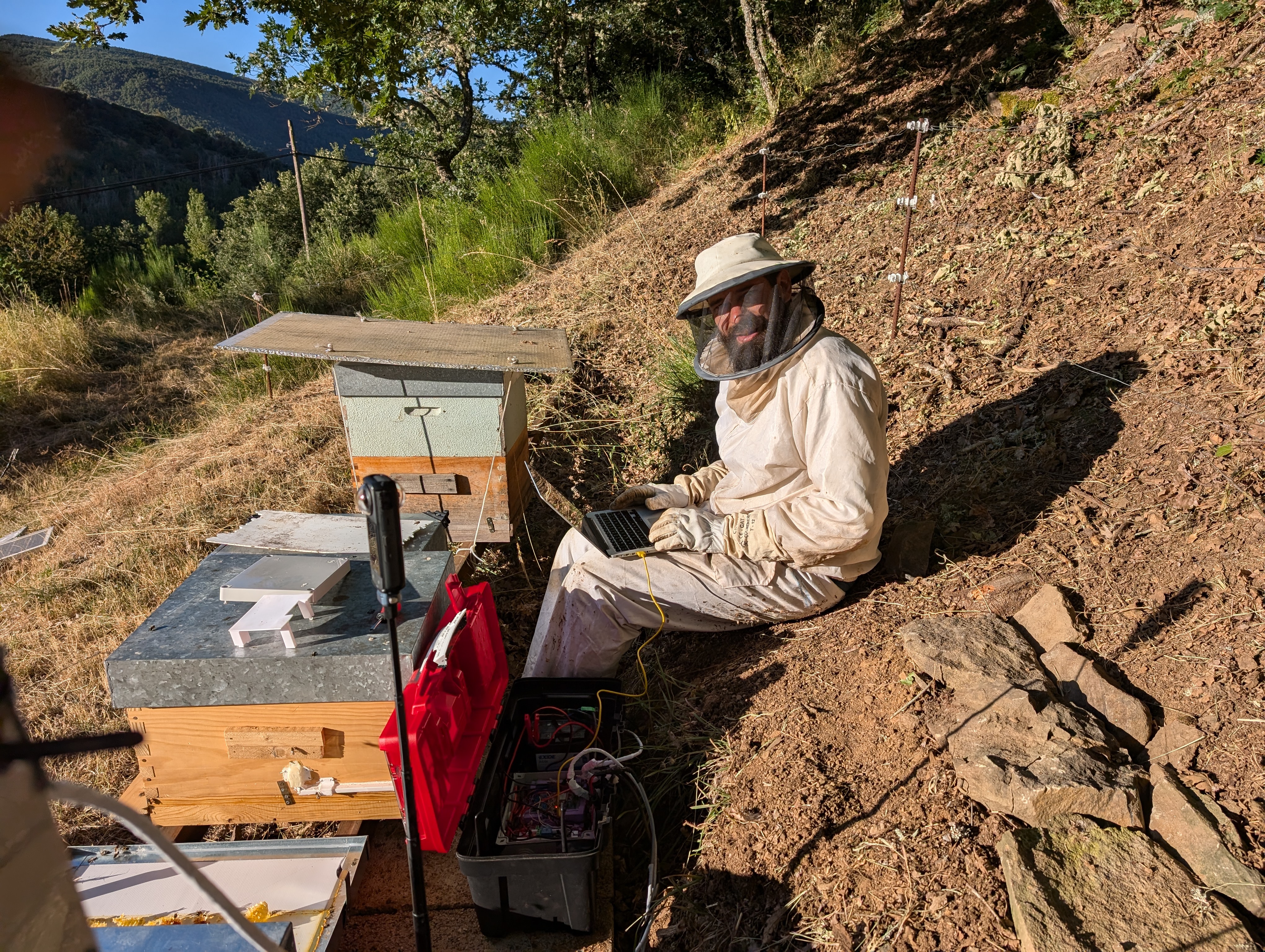 Research Driven Metaphor