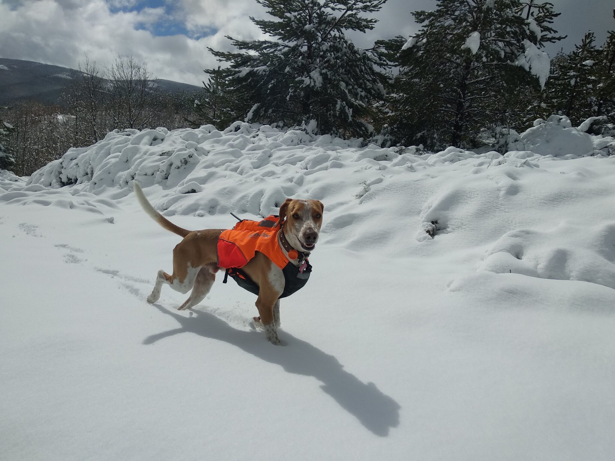 Lifestyle image representing personal connection